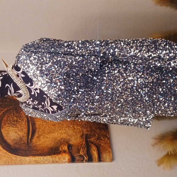 Silver Sequin Dress - Picture 3 of 4